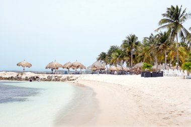 Palm Beach, Aruba Island Karayip Denizi