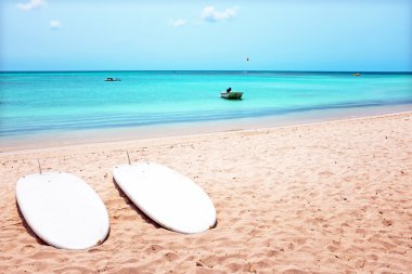 Palm Beach Aruba Island Karayip Denizi üzerinde sörf tahtaları