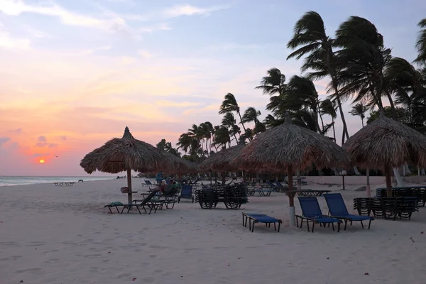 Ombrelloni e sedie a sdraio sulla spiaggia di Manchebo sull'isola di Aruba — Foto Stock