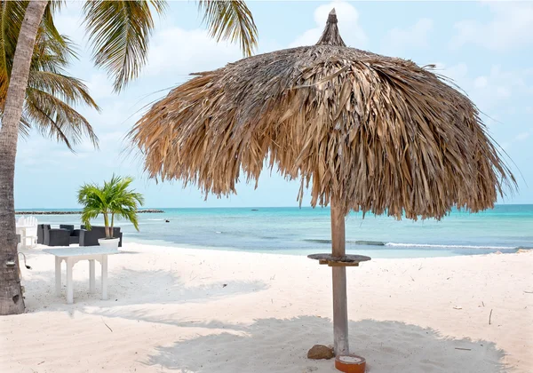 Gras paraplu op het strand op Aruba island — Stockfoto