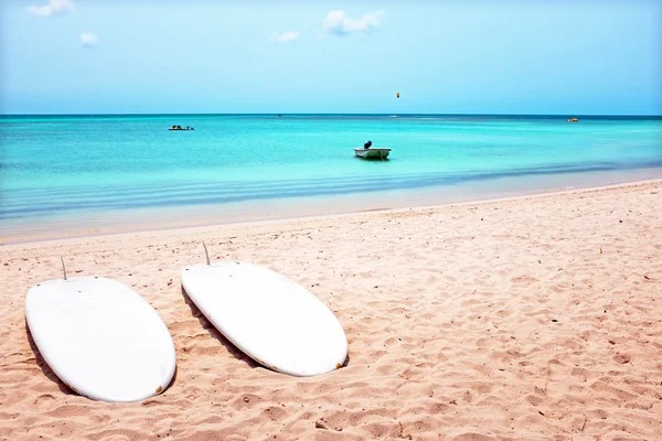 아루바 섬 카리브 해에 팜 비치에 서핑 보드 — 스톡 사진