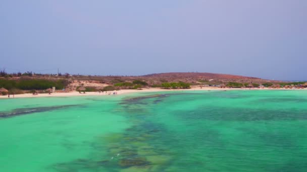 Luchtfoto van Baby strand op Aruba eiland in het Caribisch gebied — Stockvideo