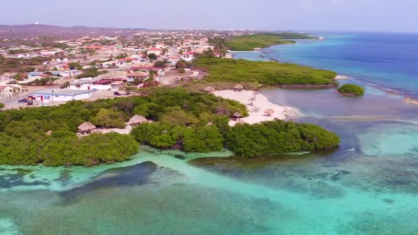 Εναέρια από Mangel Halto παραλία στο νησί της Αρούμπα στην Καραϊβική — Αρχείο Βίντεο