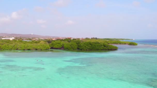 Antena z Mangel Halto beach na wyspie Aruba na Karaibach — Wideo stockowe