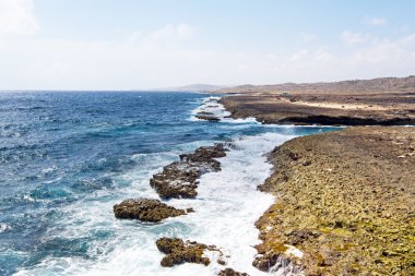Kuzey Sahili Aruba Island Karayipler