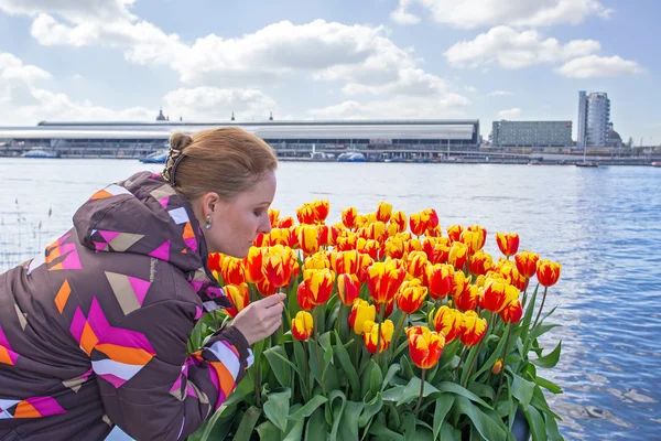 Junge einheimische Holländerin riecht blühende Tulpen im Hafen — Stockfoto