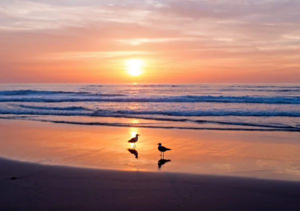 Schöner Sonnenuntergang am Strand — Stockfoto