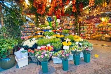 Hollanda, Amsterdam Bloemmarkt 'taki çiçekçi.