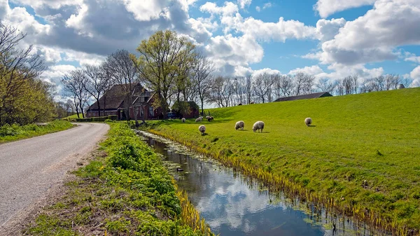 Lente Het Platteland Vanuit Nederland — Stockfoto