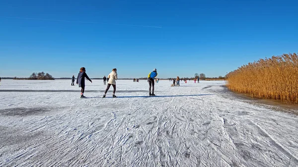 Катание Коньках Природному Замерзшему Озеру Сельской Местности Нидерландов — стоковое фото