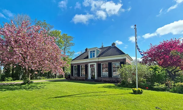 Blühender Kirschbaum Und Ein Mittelalterliches Landhaus Den Niederlanden — Stockfoto