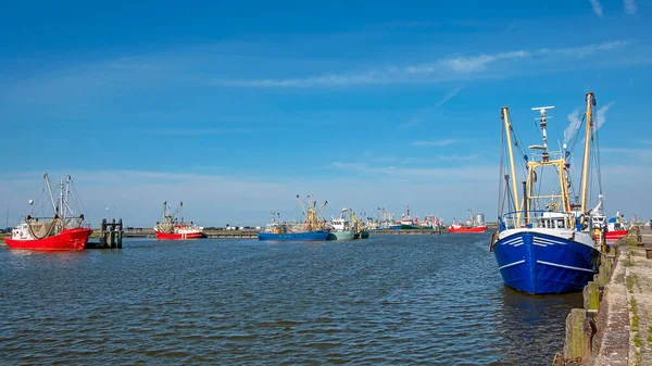 Fiskehamnen Lauwersoog Friesland Nederländerna — Stockfoto