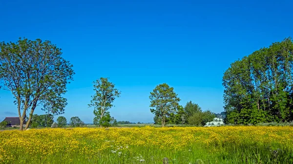 从荷兰到农村的春天 — 图库照片