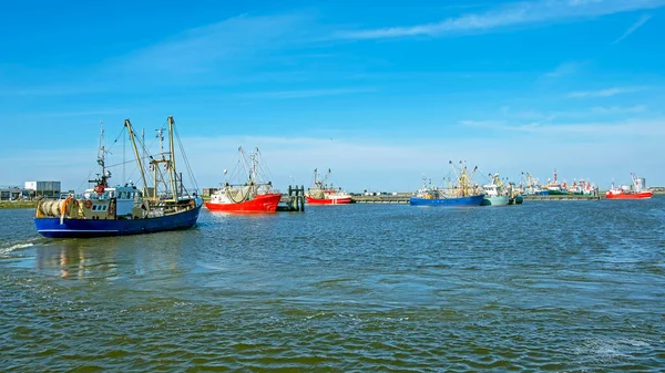Рыбацкие Лодки Гавани Lauwersoog Нидерландах — стоковое фото