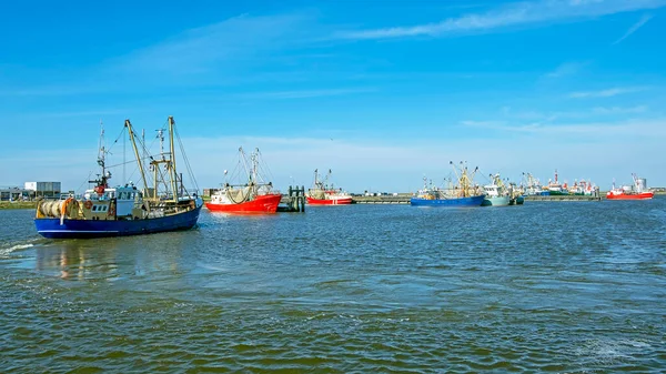 Hollanda Daki Lauwersoog Limanında Balıkçı Tekneleri — Stok fotoğraf