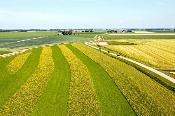 Hollanda Friesland Daki Kolza Tohumu Tarlalarından Havadan — Stok fotoğraf