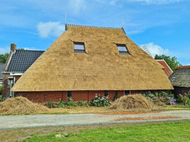 Hollanda 'nın kırsal kesimindeki geleneksel bir çiftçi evinde yeni bir hasır çatı yapılmaya hazır.