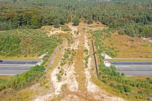 Aeronáutica Ecoduto Hoog Buurlo Rodovia Nos Países Baixos — Fotografia de Stock