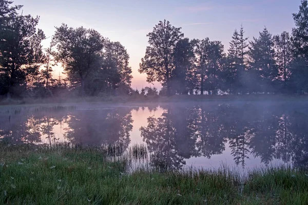 Nascer Sol Parque Nacional Hoge Veluwe Nos Países Baixos — Fotografia de Stock