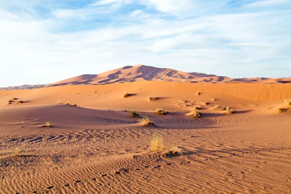 Saharawoestijn — Stockfoto