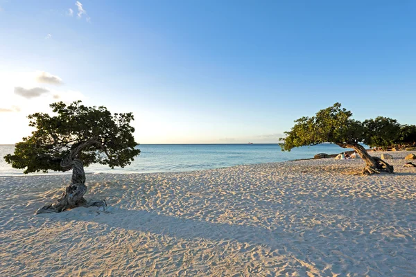 Aruba eiland bij zonsondergang — Stockfoto