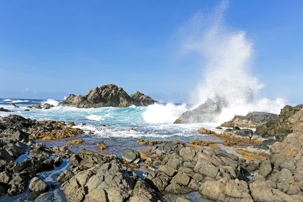 Aruba island — Stock Photo, Image