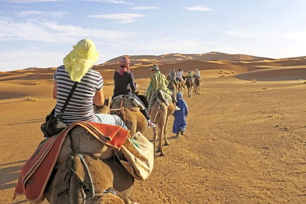 Kamel karavan går genom sanddynerna i sahara — Stockfoto