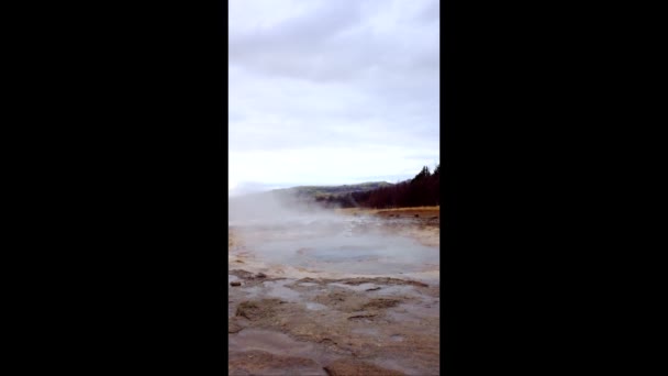 Geysir in Island — Stockvideo