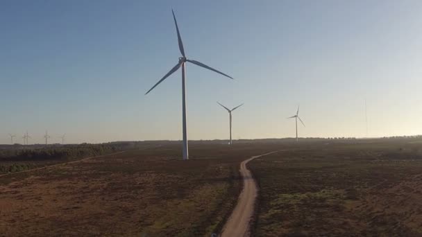 Windmills in the cunucu — Stock Video