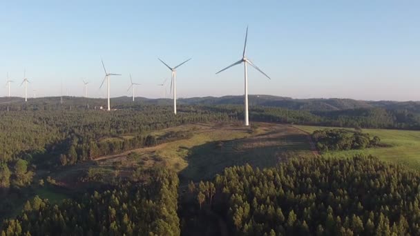 Windmills in the cunucu — Stock Video