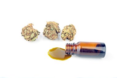 Tıbbi Esrar (Marihuana) yağı tüketime hazır