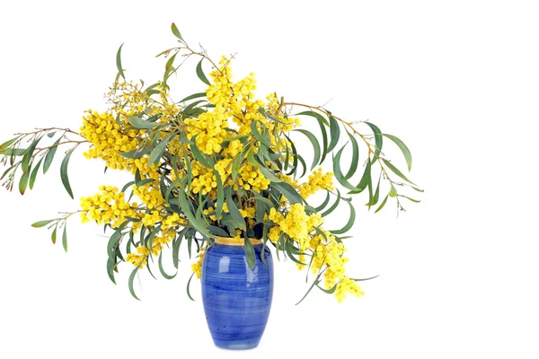 Bouquet of blossoming mimosa — Stock Photo, Image