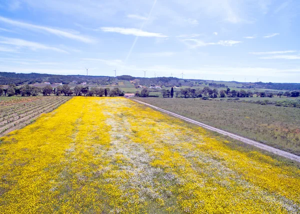 Paisaje de primavera aérea en Portugal — Foto de Stock