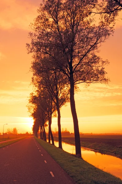 Landweg in Nederland — Stockfoto