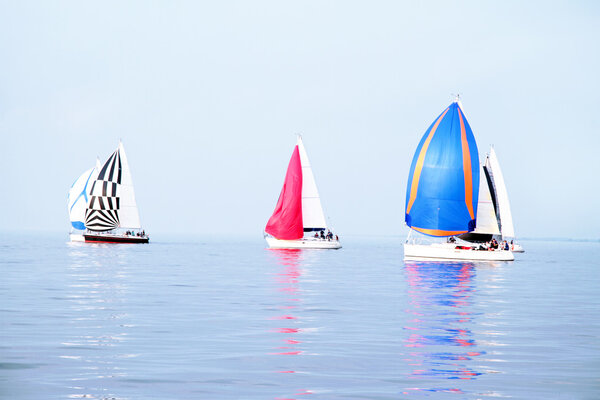 Опираясь на Эйсселблум
