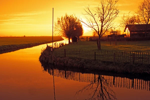 Typical dutch landscape on sunset — Stock Photo, Image