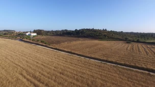 Luchtfoto van een tarwe en wijn veld in Portugal — Stockvideo