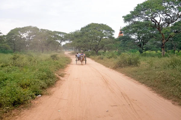 Paard kar rijden in Bagan Myanmar — Stockfoto