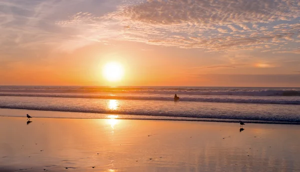 Zonsondergang in Vale Figueiras strand in Portugal — Stockfoto