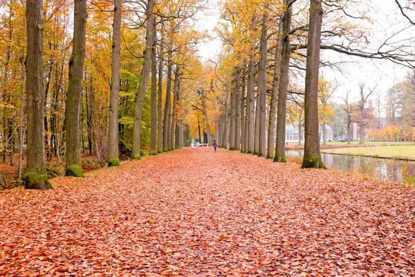 Caída en el campo desde Holanda — Foto de Stock