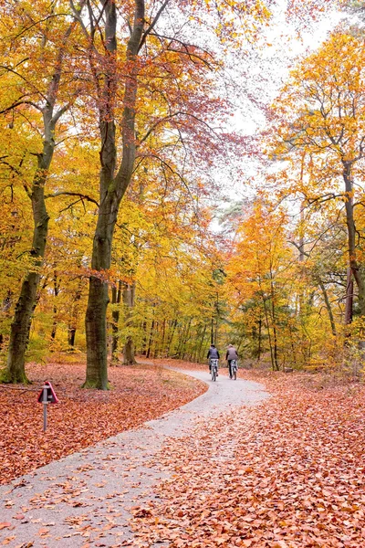 Caduta in campagna dai Paesi Bassi — Foto Stock