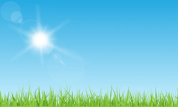 Sonne und Gras — Stockvektor