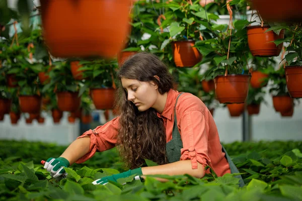 Female Gardener Long Curly Brown Hair Working Greenhouse Attractive Young — Stock Photo, Image