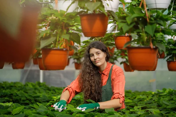 Female Gardener Long Curly Brown Hair Working Greenhouse Attractive Young — Stock Photo, Image