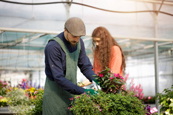 Командная работа мужчин и женщин-садовников в солнечной оранжерее. Концепция молодых рабочих в теплице. Фермеры, работающие в садоводстве, организации и уход за растениями.