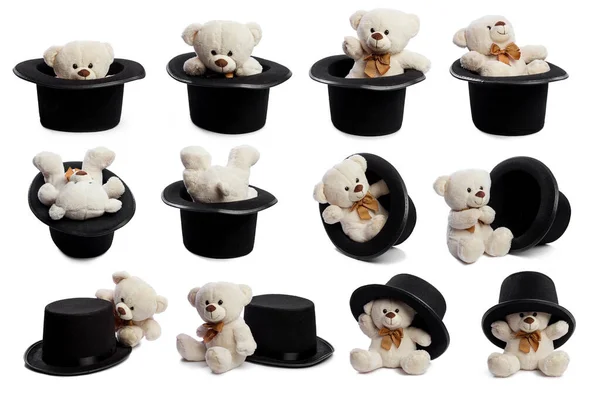 Ours en peluche isolé avec chapeau noir sur fond parfaitement blanc — Photo