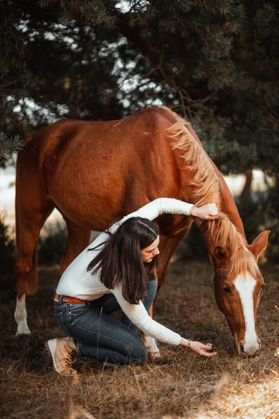 Hermosa joven posando con su caballo en la naturaleza. Día soleado de otoño. — Foto de Stock