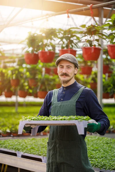 Cropped portrait of male gardener in the sunny greenhouse — Stock Photo, Image