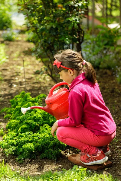 Κοριτσάκι ποτίζει φυτά στον κήπο — Φωτογραφία Αρχείου