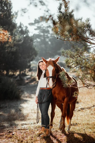 Beautiful young girl posing with her horse in the nature. Sunny autumn day. — Stock Photo, Image